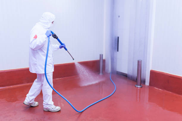 Best Restaurant Pressure Washing  in Valley Falls, RI